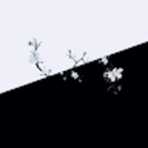 Meet your Posher, Luis